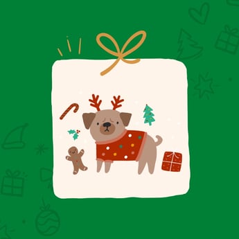 festive pet 1