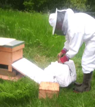 preparing_to_put_bees_in_hive