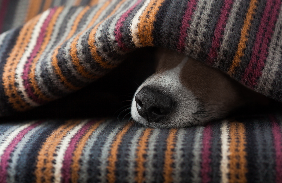 sleep small-1